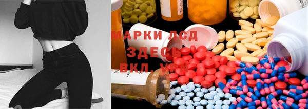 дживик Абаза