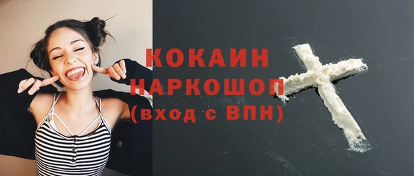 кокс Алексин