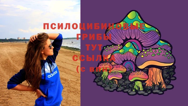 кокс Алексин