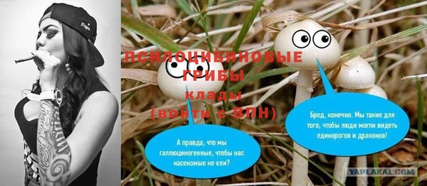 кокс Алексин